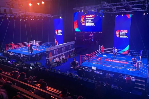 Определились победители чемпионата России по боксу