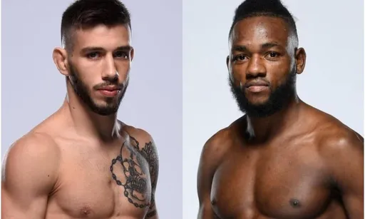Бой Капе – Николау на UFC Fight Night 234 отменен