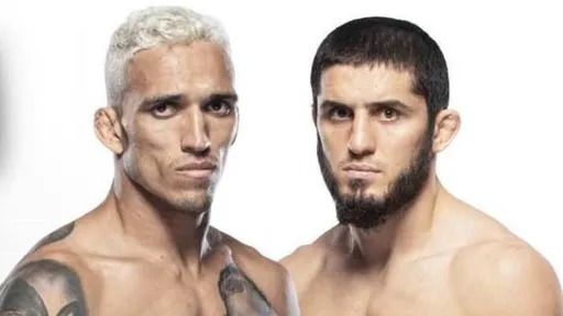 UFC показал официальный постер турнира в Абу-Даби с участием Махачева и Яна