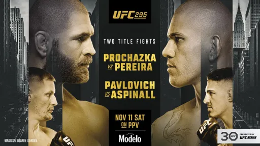 Прямой эфир UFC 295: смотреть онлайн, Прохазка – Перейра, Павлович – Аспиналл