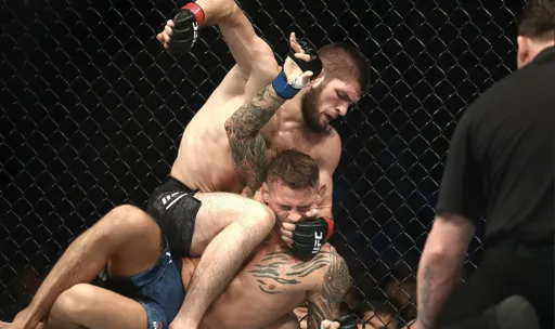 Бойцовский остров UFC в Абу-Даби – любимое место для россиян, как дом родной. Любопытная статистика