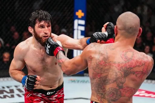 Судейские записки боя между Анкалаевым и Перейрой на UFC 313