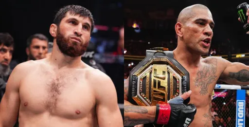 Штырков уверен, что Анкалаев победит Перейру и станет чемпионом UFC