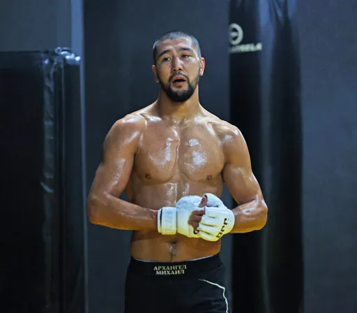 Хамзин: два бойца в UFC могут конкурировать с Яном в боксе