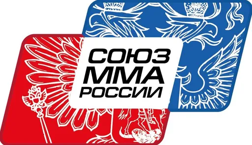 Выборы президента Союза ММА России состоятся 14 июня