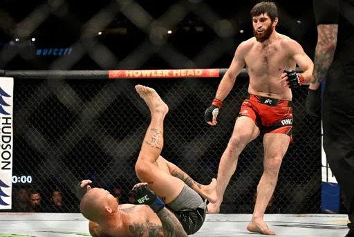 Анкалаев готов провести бой с чемпионом UFC Прохазкой в конце года