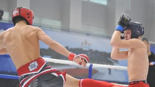 Союз MMA России не знал о проведении турнира в Белогорске, где от удара скончался 16-летний подросток