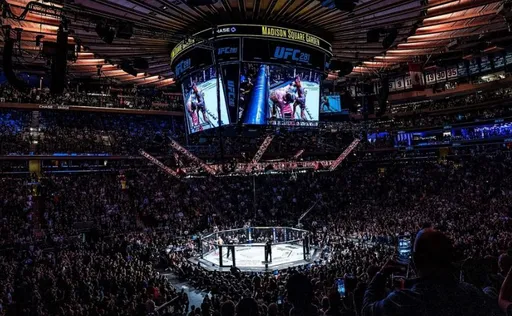 Зарплаты участников турнира UFC 281: Адесанья – Перейра