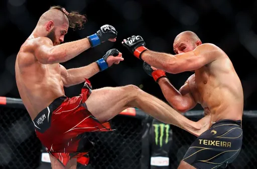 Реванш Прохазки и Тейшейры состоится на UFC 282