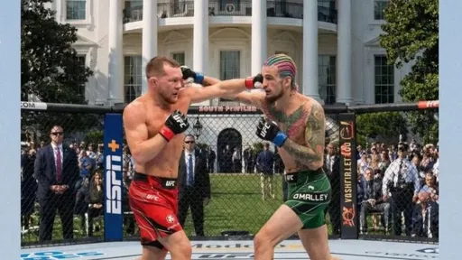 Петр Ян картинкой намекнул, что готов драться с О’Мэлли на турнире UFC в Белом доме