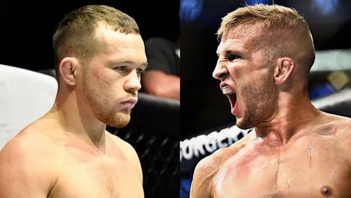 UFC не исключает организацию боя между Яном и Диллашоу