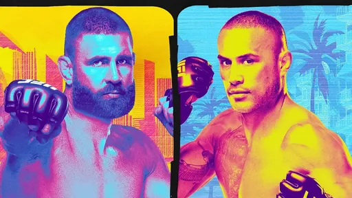 Стали известны результаты турнира UFC 327: Улберг нокаутировал Прохазку