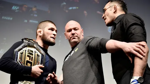Бывший чемпион UFC Стерлинг согласился с Хабибом по поводу боя с Фергюсоном