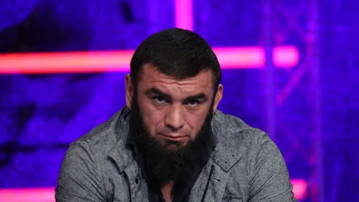 Чемпион двух лиг против американского ноунейма. Что нужно знать о бое Вагабов – Николсон