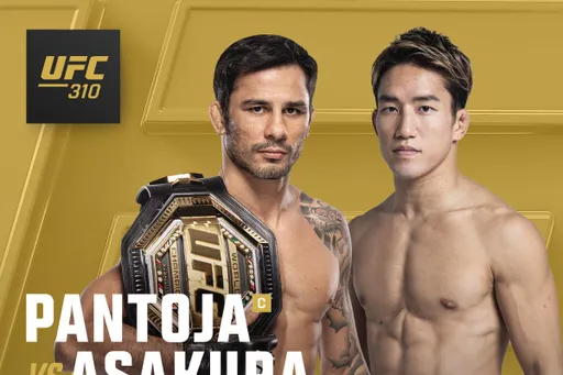 Представлен официальный постер турнира UFC 310