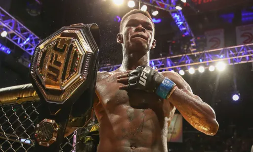 Бывший чемпион UFC Адесанья признал себя виновным в вождении в нетрезвом состоянии