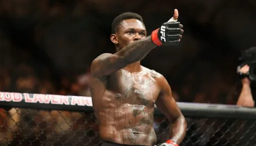 Судейские записки боя главного боя UFC 276: Каннонье удалось забрать один из пяти раундов против Адесаньи