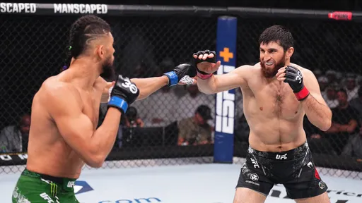 Появилось видео нокаута в бою Анкалаева и Уокера на UFC Fight Night 234