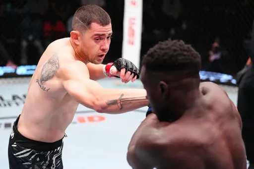 Результаты турнира UFC Vegas 110: Гарсия победил Онаму