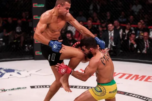 Зарплаты участников турнира Bellator 286: Фрейре заработал 150 тысяч долларов за защиту титула против Борича