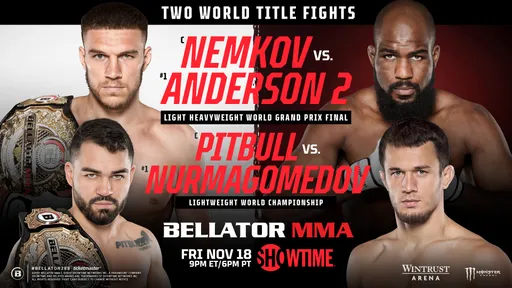 Главный турнир года в Bellator, возвращение Бивола и поединок Емельяненко в поп-MMA. Топ-10 боев ноября