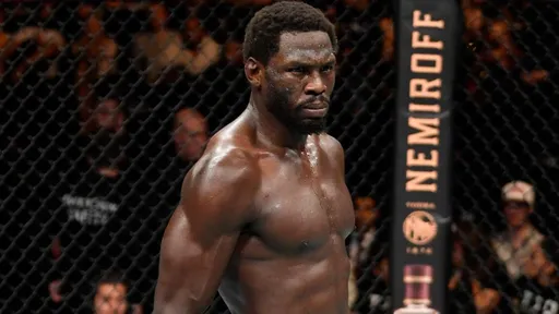 Каннонир готов стать первым соперником Чимаева в среднем весе UFC