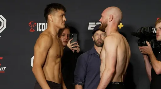 Смотреть онлайн бой Борщев – Хайсаер 21 мая на турнире UFC Vegas 73