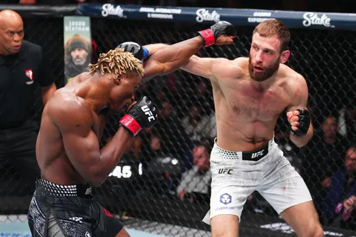 Стала известна статистика ударов в бою Пуляев – Готье на турнире UFC 324