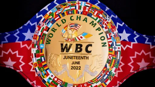 Победитель боя Бенавидес – Морелл станет претендентом на титул WBC