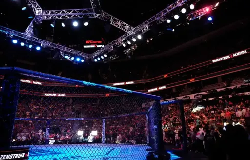 Зарплаты участников турнира UFC on ABC 4: Розенстрайк – Алмейда
