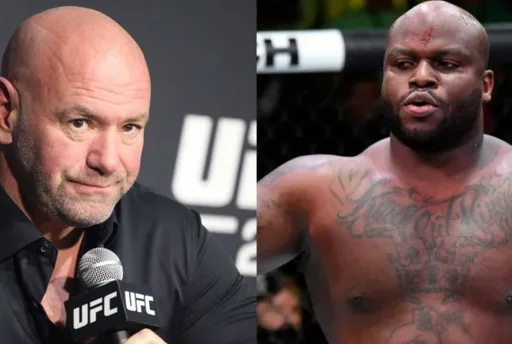 Глава UFC Уайт не возражает против участия Льюиса в шоу WWE
