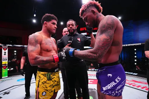 Результаты турнира UFC Vegas 106: Моралес нокаутировал Бернса