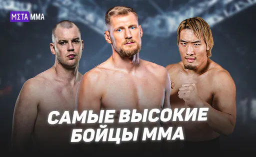 Волков, Сильвия, Штруве и другие великаны: топ-10 самых высоких бойцов MMA