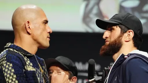 Статистика ударов в бою между Анкалаевым и Перейрой на UFC 313