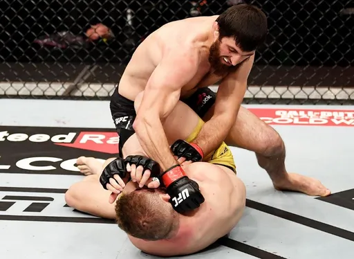 Корешков: российские бойцы заберут больше половины титулов UFC