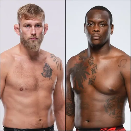 Поединок Густафссон – Сен-Прю пройдет на UFC 282 в декабре