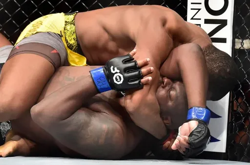 Алмейда в бою с Льюисом побил рекорд UFC по количеству времени контроля