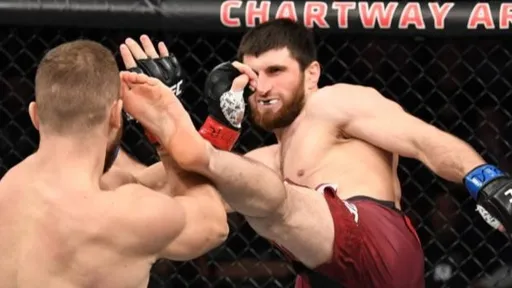 Стрикленд назвал Анкалаева следующим чемпионом полутяжелого веса UFC