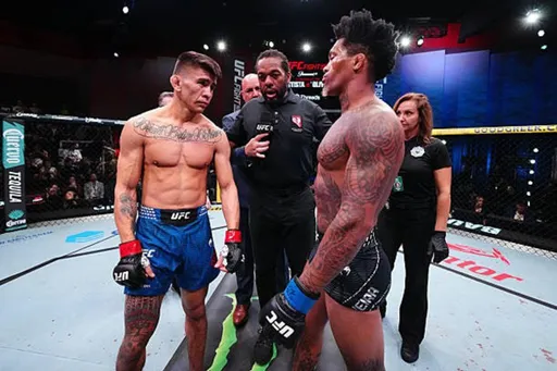 Баутиста задушил Оливейру в главном бою UFC Fight Night 266