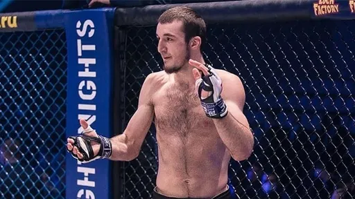 Хасан Магомедшарипов задушил Ниджельски на Bellator 299 в Дублине