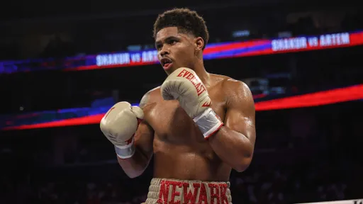 Стивенсон подписал контракт с лигой Zuffa Boxing