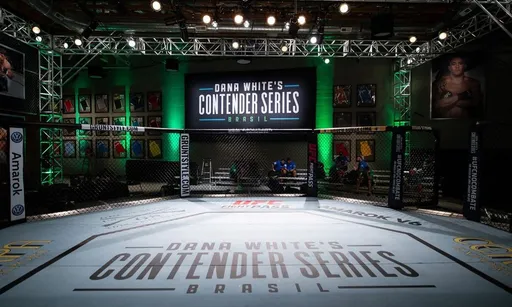 Дана Уайт ищет новых звезд UFC. Где смотреть Contender Series 2022: дата первого турнира и кард