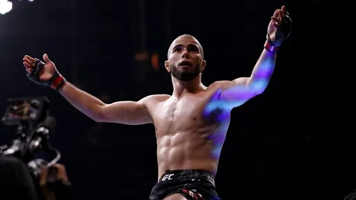 Тренер Нганну: за драку не выкидывают из UFC, Мокаев наверняка перегнул палку несколько раз