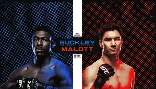 Смотреть онлайн UFC Fight Night 291: прямая трансляция турнира в Эдмонтоне