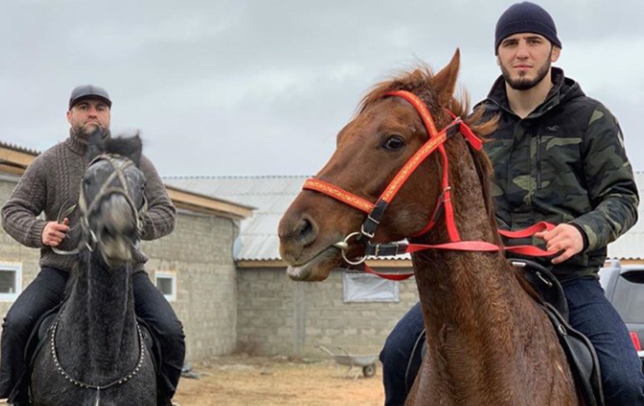 Мусульманские лошади. Конюшня Ислама Махачева. Дагестанская лошадь.