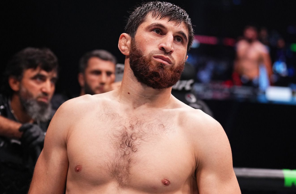 Анкалаев: Перейре придется либо освободить пояс UFC, либо драться со мной