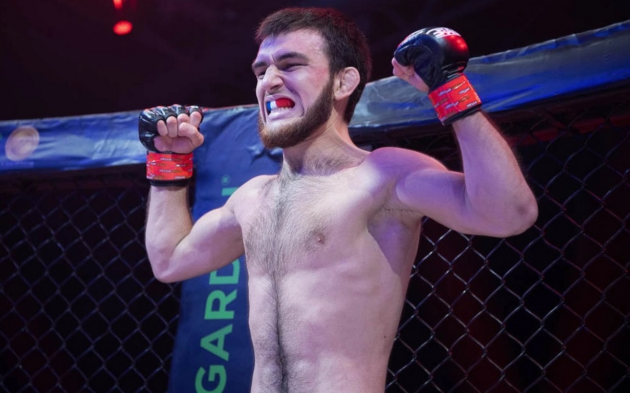 Боец Bellator Касумов победил Чистякова на турнире Wolnik 11