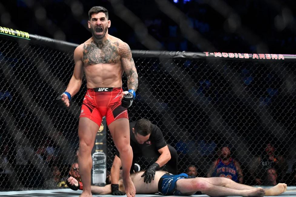 Грузинский боец UFC Топурия осадил фаната ударом в печень