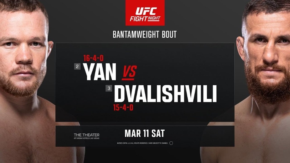 UFC Fight Night 221: Ян - Двалишвили