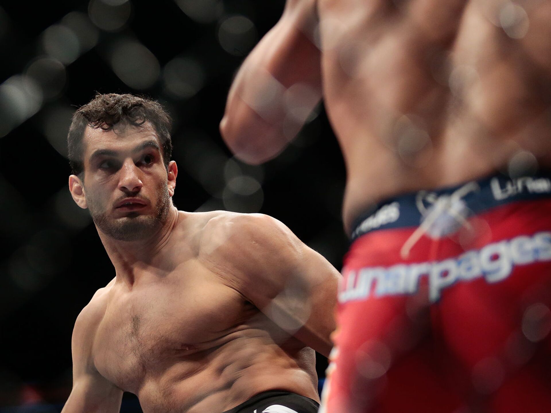 Gegard Mousasi MMA